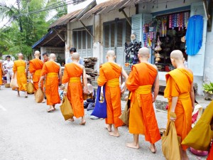 Watch the morning alms giving ceremony